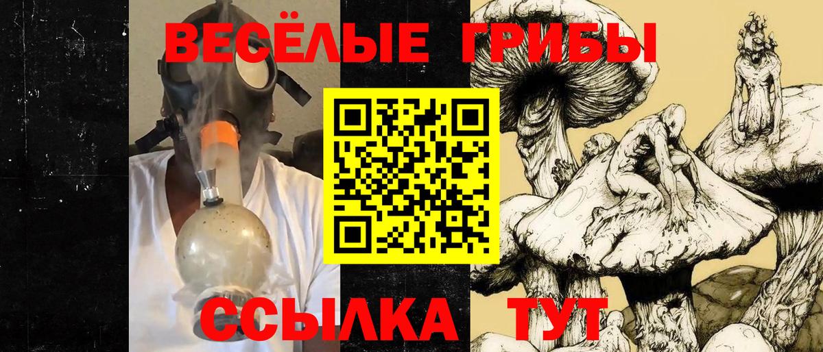 Орск  Псилоцибиновые грибы ЛСД  Вход с VPN  купить наркоту  Псилоцибиновые грибы MAGIC MUSHROOMS 